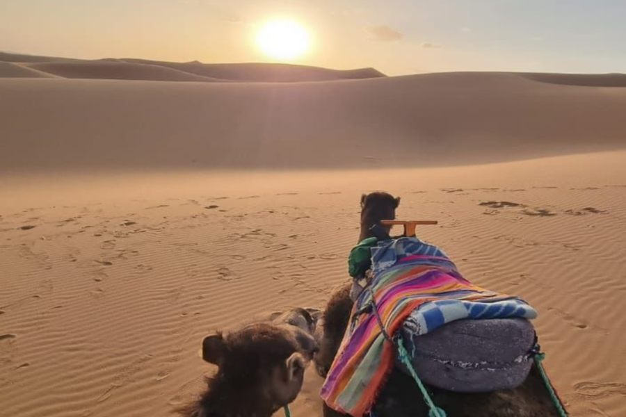 Expérience de 3 jours dans le désert de Fès à Marrakech