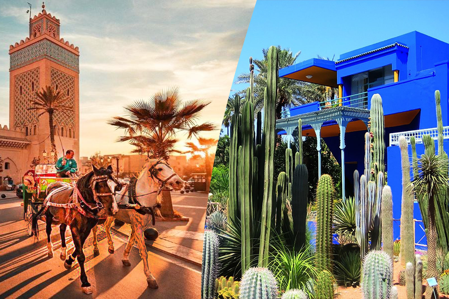 Excursion en calèche et visite du jardin Majorelle