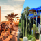 Excursion en calèche et visite du jardin Majorelle