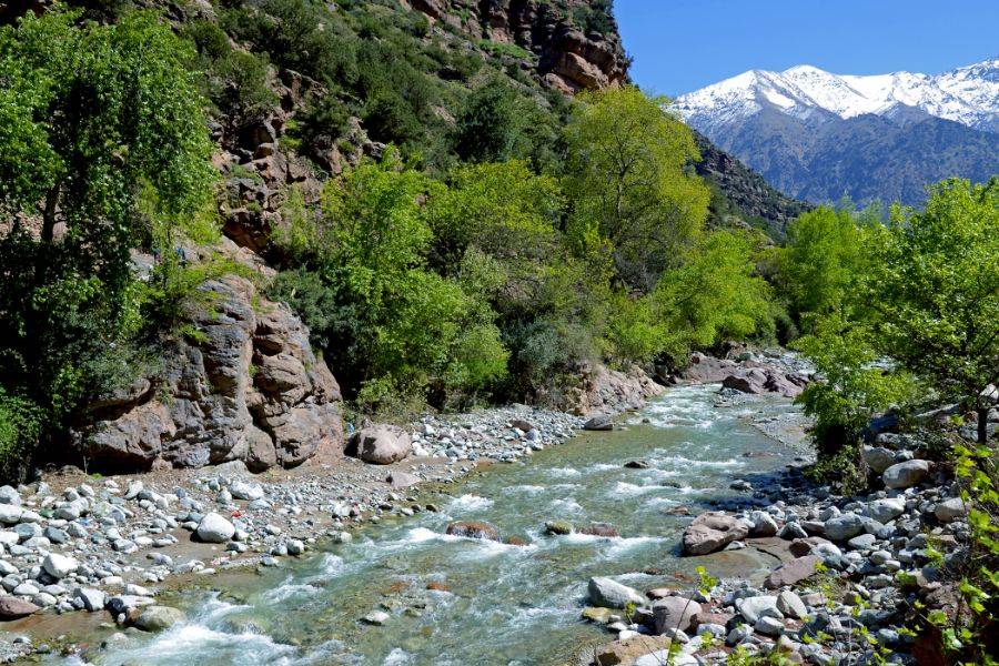 Excursion d'une journée dans les quatre vallées au départ de Marrakech