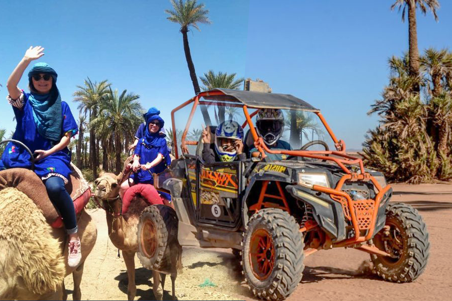 Balade en Chameau et Experience en Buggy à la Palmeraie Marrakech