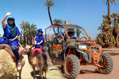 Balade en Chameau et Experience en Buggy à la Palmeraie Marrakech