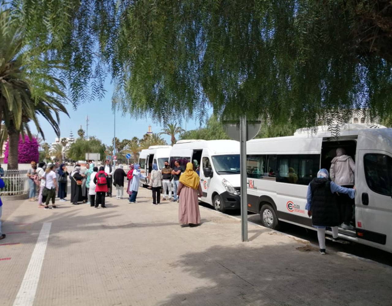 Excursion d'une journée à Safi & Oualidia