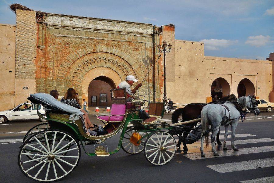 Magnifique Balade calèche à Marrakech