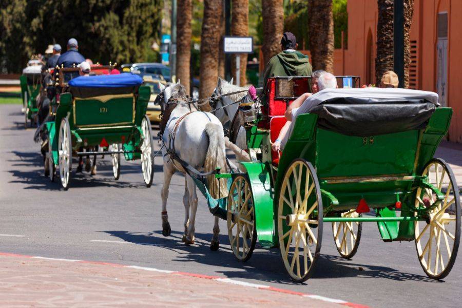 Magnifique Balade calèche à Marrakech