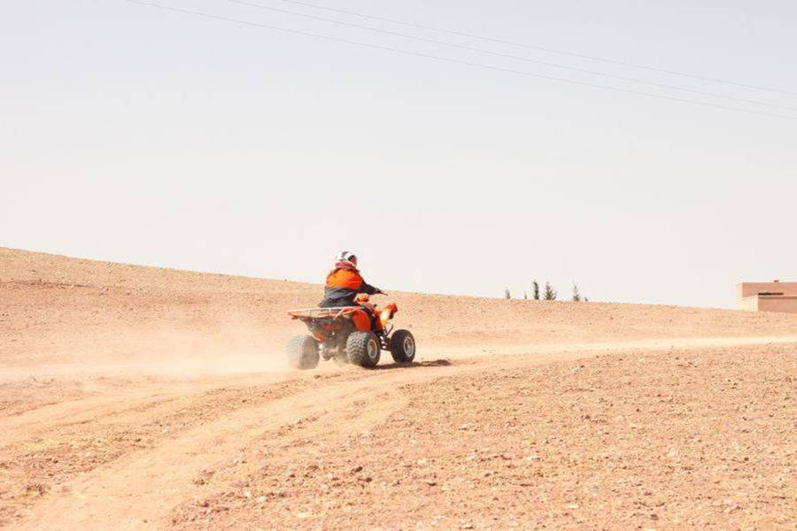 Quad, Balade de Chameau et Dîner dans le désert rocheux d'Agafay 