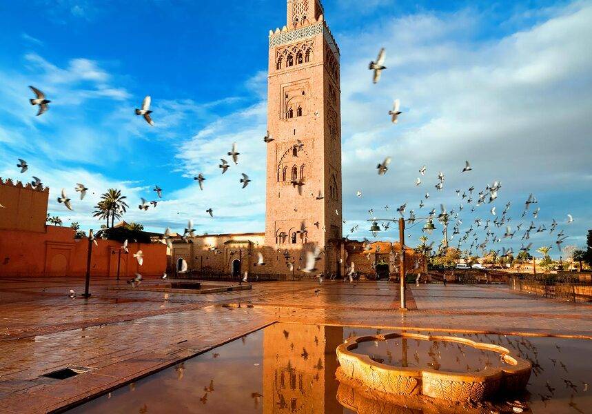 Visite des jardins historiques et des remparts de Marrakech