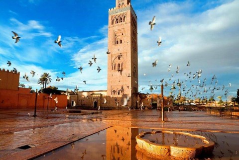 Visite des jardins historiques et des remparts de Marrakech