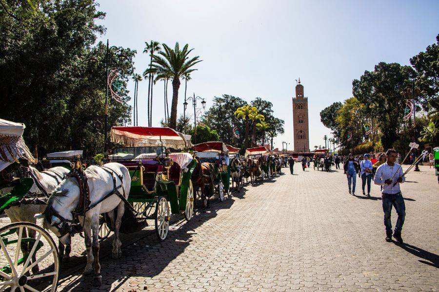 Magnifique Balade calèche à Marrakech