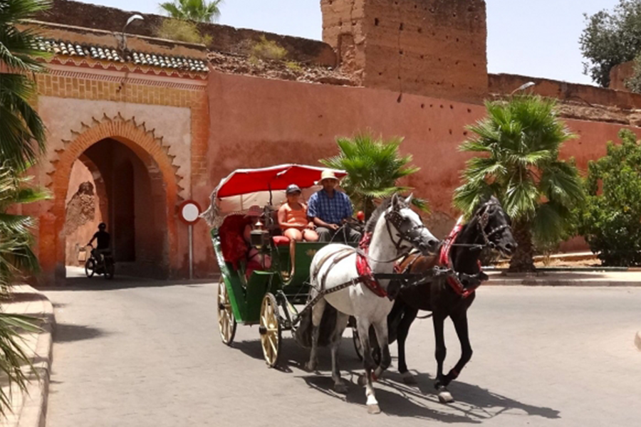 Excursion en calèche et visite du jardin Majorelle