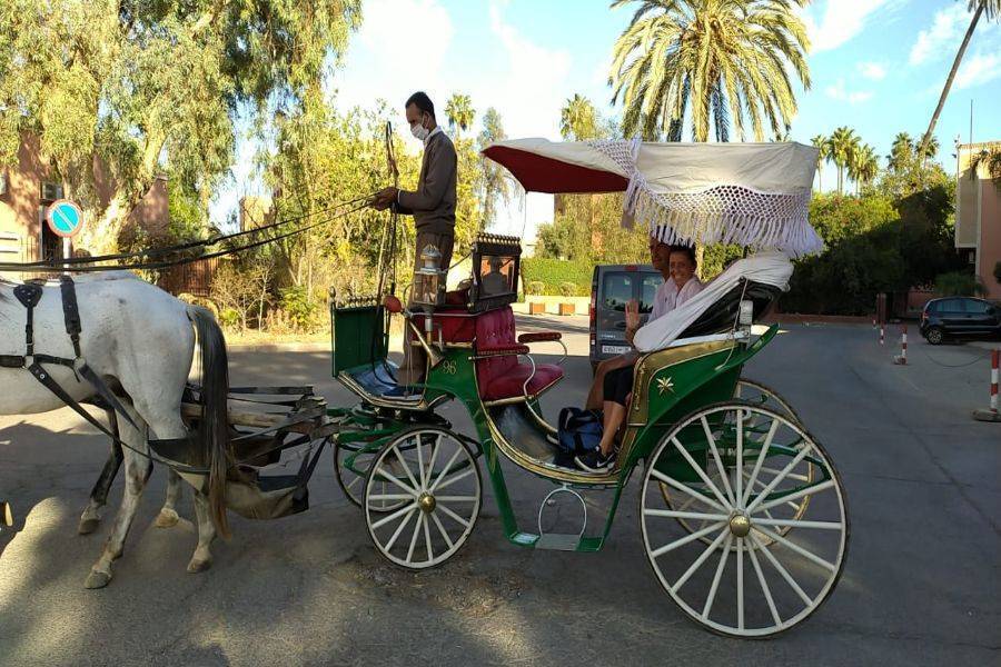 Excursion en calèche et visite du jardin Majorelle