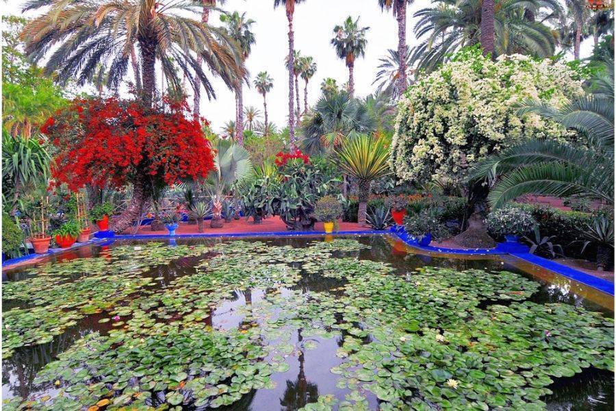 Excursion privée d'une journée à Marrakech au départ de Casablanca avec déjeuner