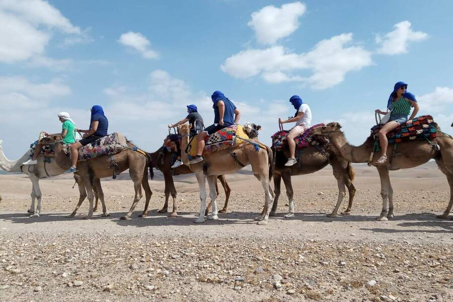 Expérience de Coucher de soleil à dos de Chameau dans le Desert d'Agafay