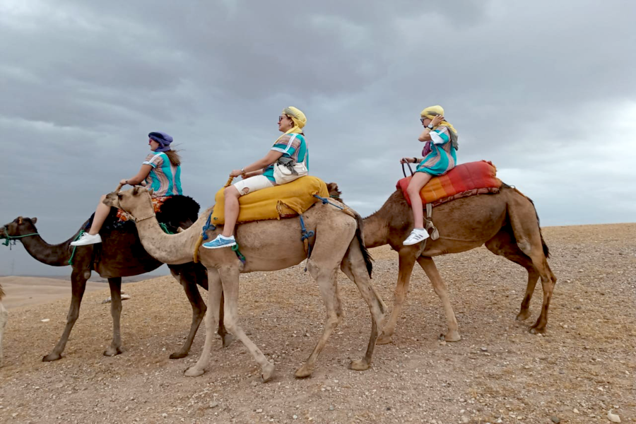 Expérience de Coucher de soleil à dos de Chameau dans le Desert d'Agafay