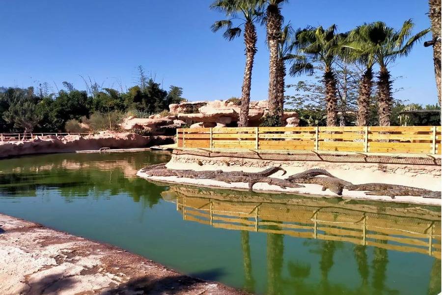 Excursion d'une journée à Agadir au départ de Marrakech