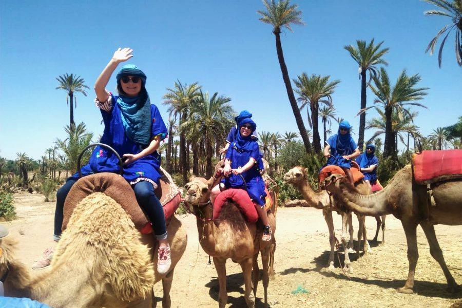 Balade en Chameau et Experience en Buggy à la Palmeraie Marrakech