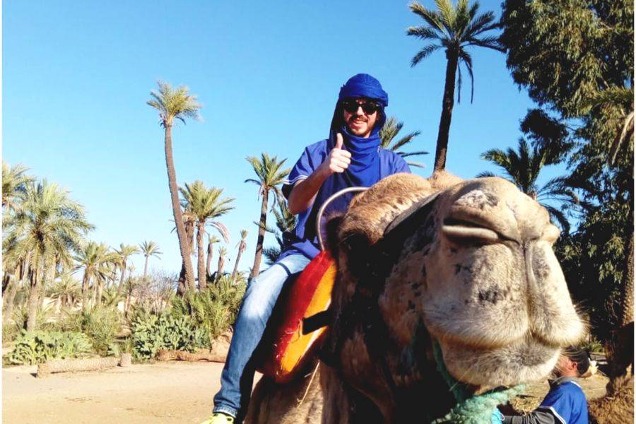 Balade Chameau à la Palmeraie de Marrakech