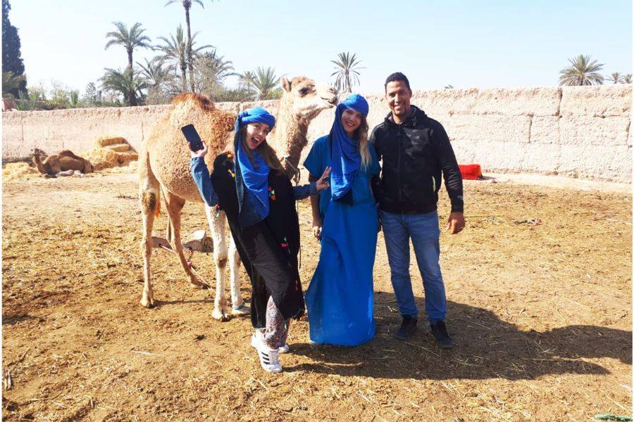 Balade Chameau à la Palmeraie de Marrakech