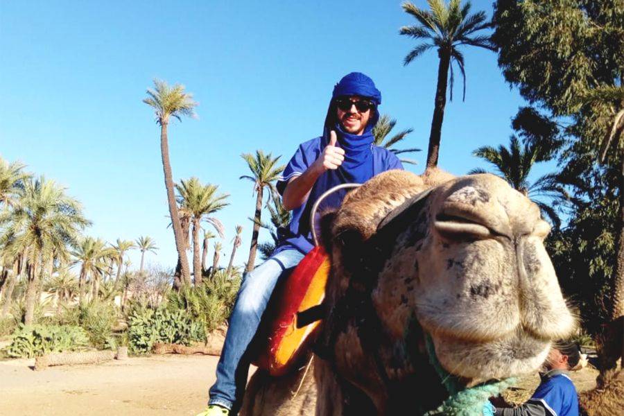 Balade en Chameau et Experience en Buggy à la Palmeraie Marrakech