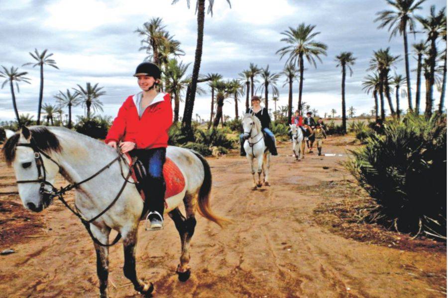 Balade de Cheval à la Palmeraie Marrakech