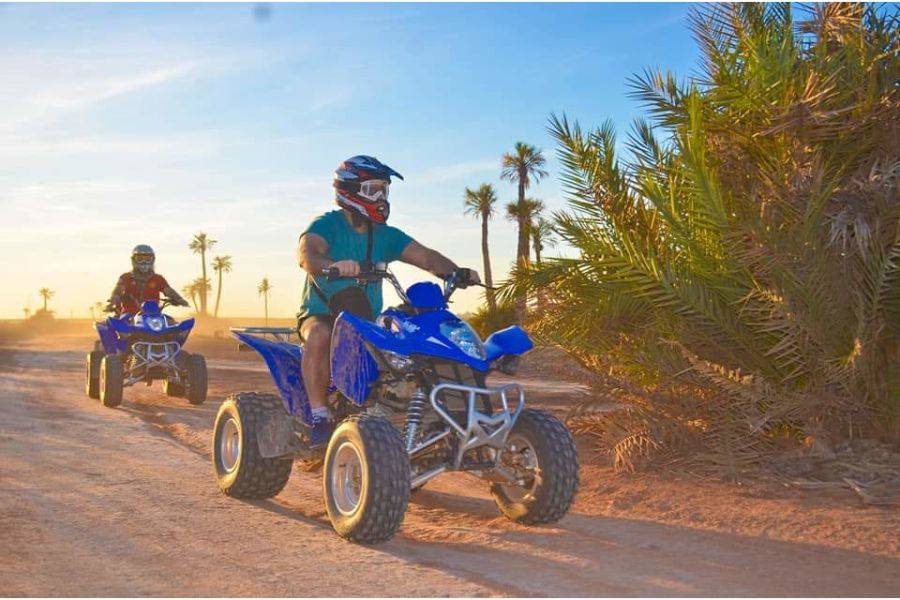 Balade Chameau et Quad à la Palmeraie de Marrakech