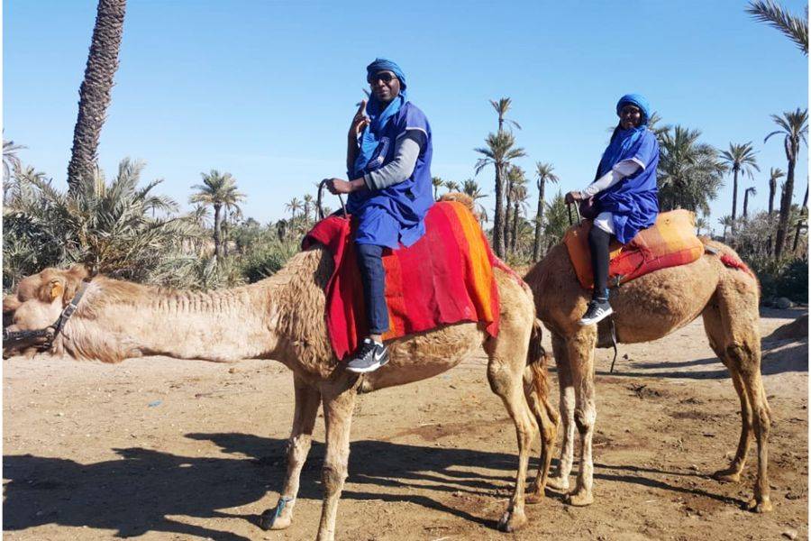 Balade Chameau et Quad à la Palmeraie de Marrakech