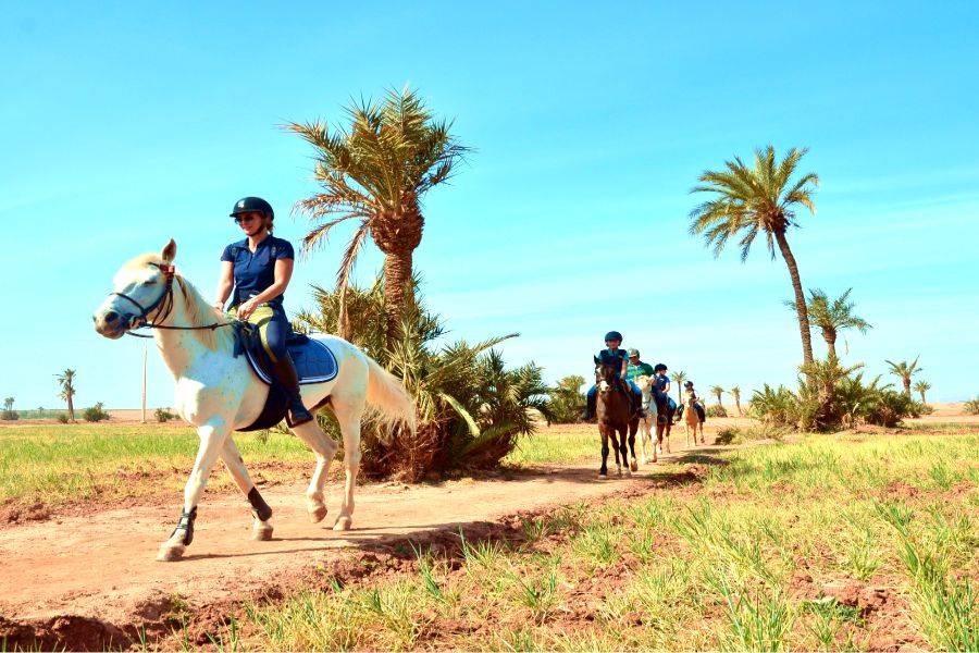 Balade de Cheval à la Palmeraie Marrakech