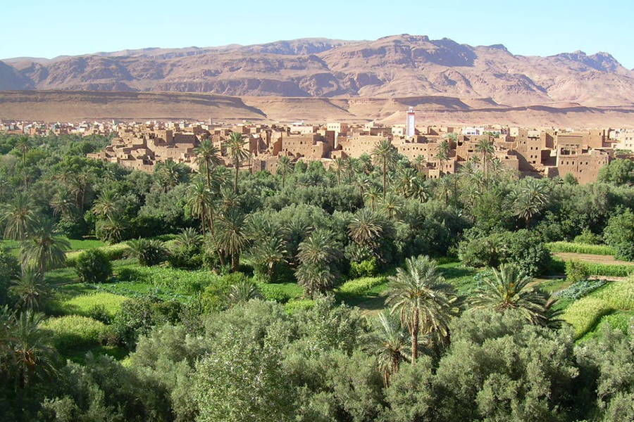 Ouarzazate, Kasbah Ait ben haddou et Oasis Fint 2 jours