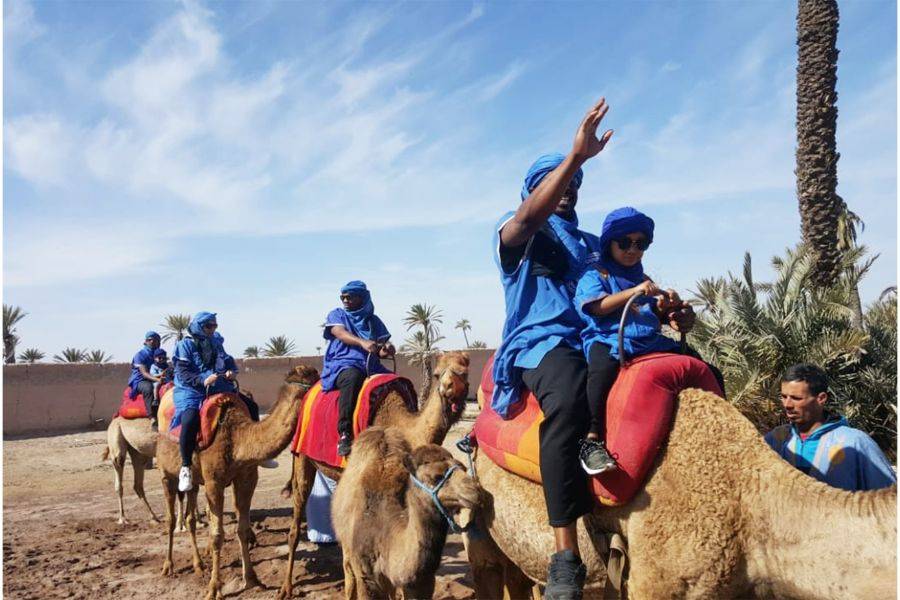 Balade Chameau et Quad à la Palmeraie de Marrakech