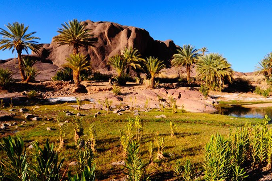 Ouarzazate, Kasbah Ait ben haddou et Oasis Fint 2 jours