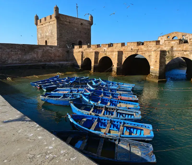 Excursion d'une journée à Essaouira