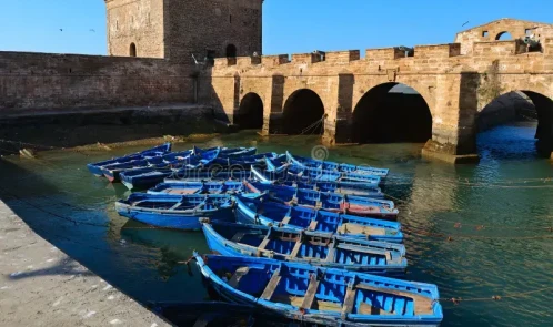 Excursion d'une journée à Essaouira