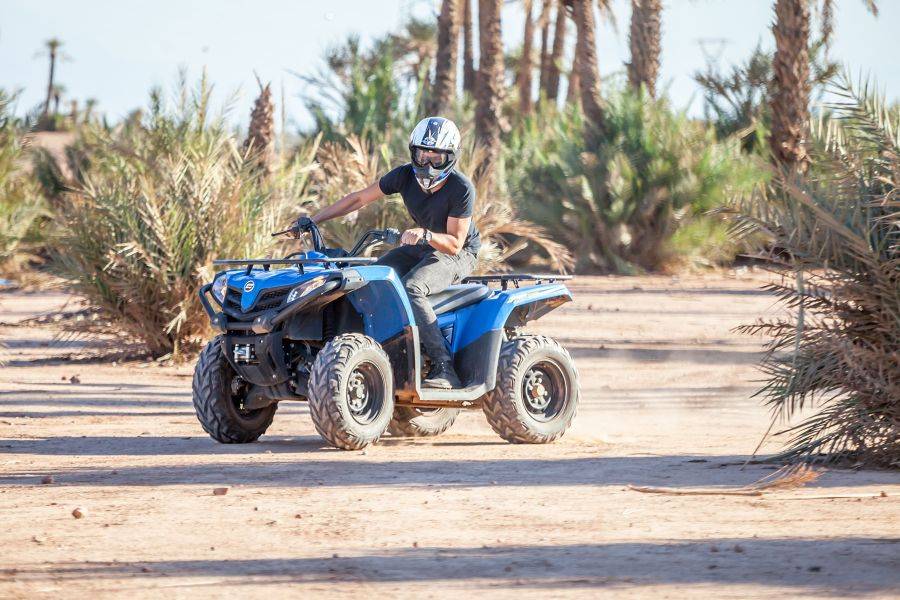 Balade Chameau et Quad à la Palmeraie de Marrakech