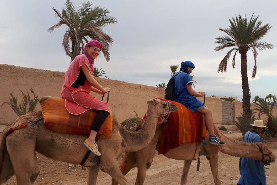 Balade de Chameau dans la Palmeraie Avec un Soin au Spa
