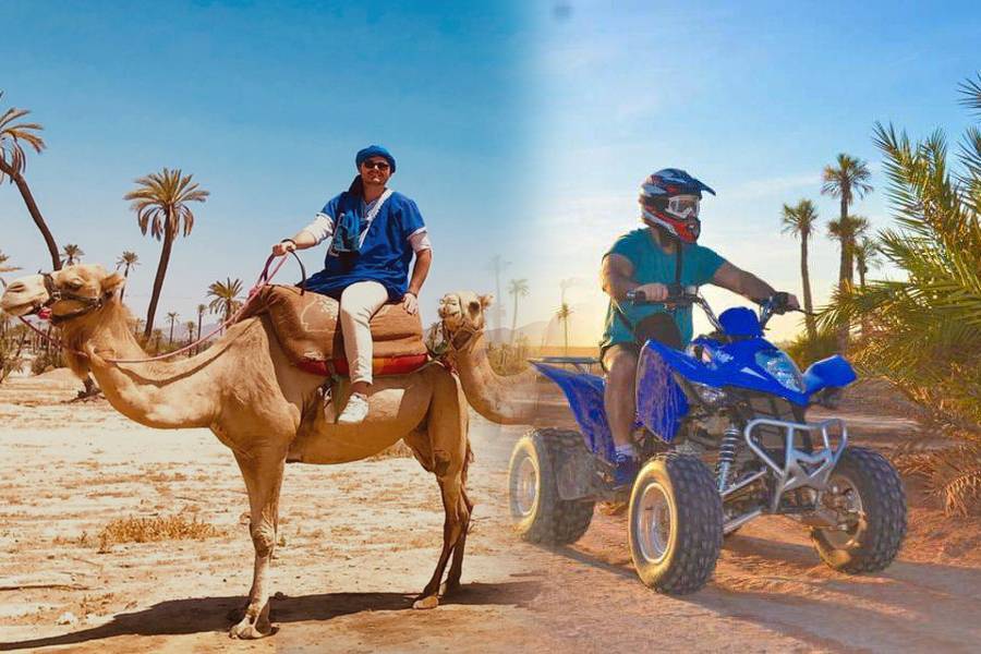 Balade Chameau et Quad à la Palmeraie de Marrakech