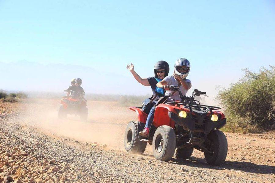 Balade Chameau et Quad à la Palmeraie de Marrakech