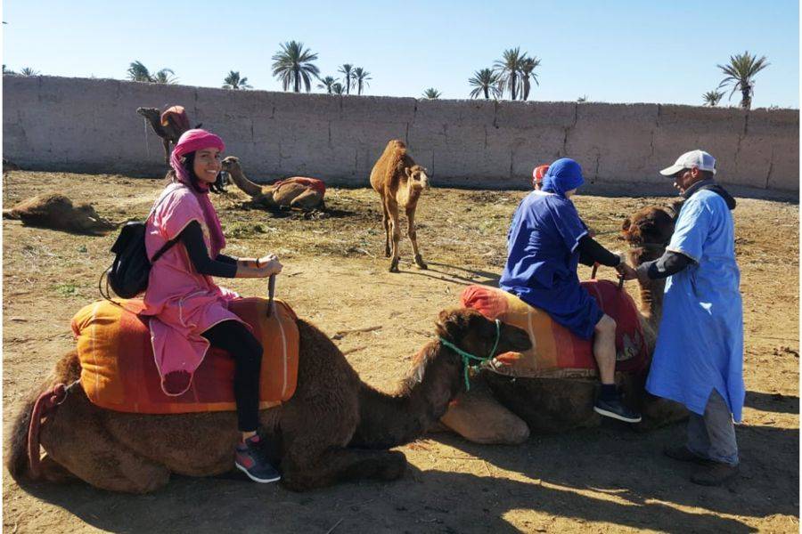 Balade Chameau et Quad à la Palmeraie de Marrakech