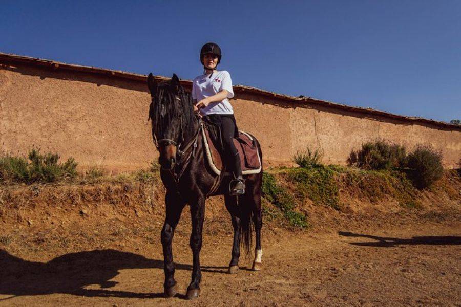 Balade de Cheval à la Palmeraie Marrakech