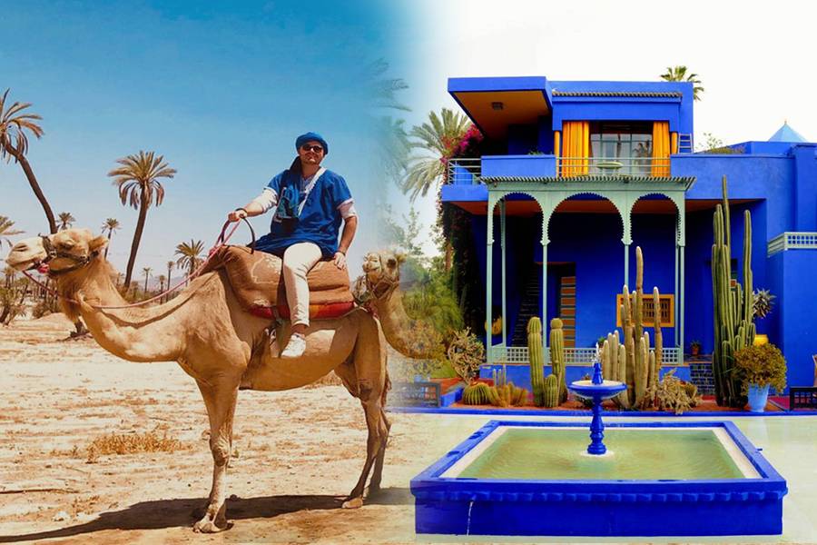 Visite du Jardin Majorelle avec Balade de Chameau dans la Palmeraie de Marrakech