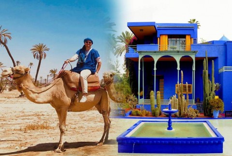 Visite du Jardin Majorelle avec Balade de Chameau dans la Palmeraie de Marrakech