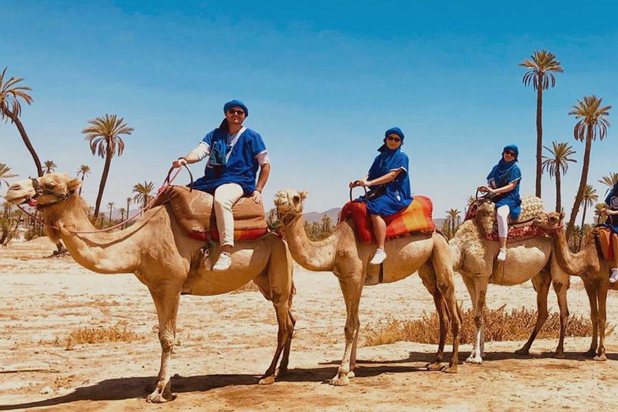 Balade Chameau à la Palmeraie de Marrakech