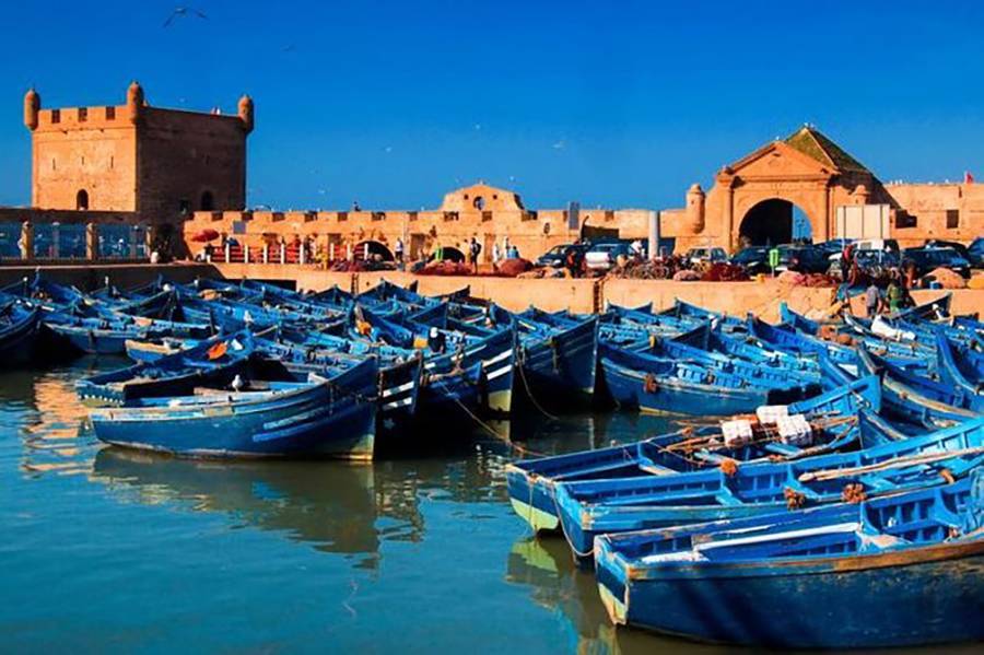 Excursion d'une journée à Essaouira