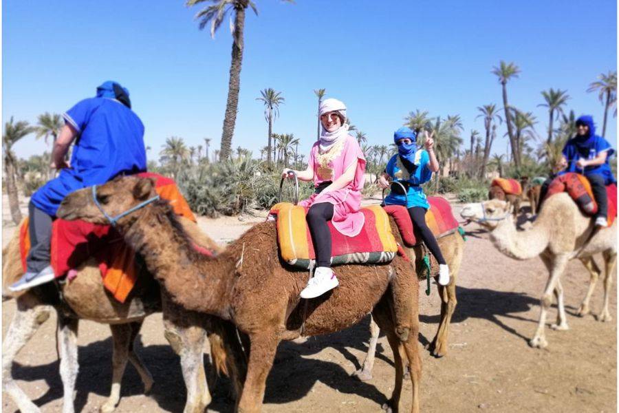 Balade Chameau et Quad à la Palmeraie de Marrakech