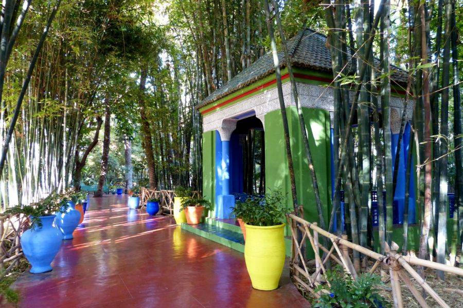 Visite du Jardin Majorelle avec Balade de Chameau dans la Palmeraie de Marrakech