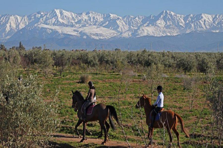 Balade de Cheval à la Palmeraie Marrakech