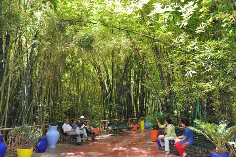 Visite du Jardin Majorelle avec Balade de Chameau dans la Palmeraie de Marrakech