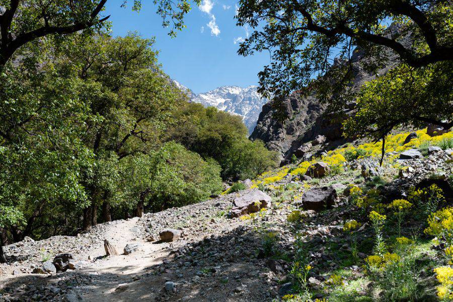 Excursions d'une journée à Asni et Imlil depuis Marrakech