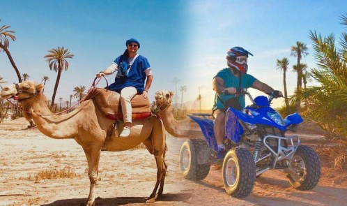 Balade Chameau et Quad à la Palmeraie de Marrakech