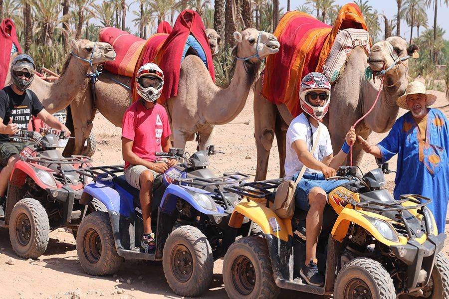 Balade Chameau et Quad à la Palmeraie de Marrakech