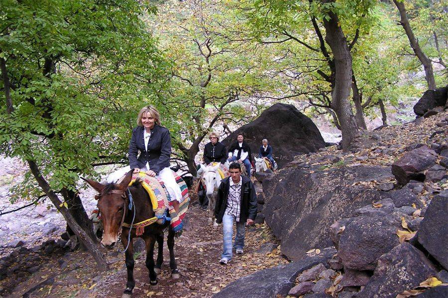 Haut Atlas Imlil avec balade à dos de chameau et dîner dans le désert d'Agafay